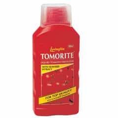 Levinton Tomorite Levinton Tomorite